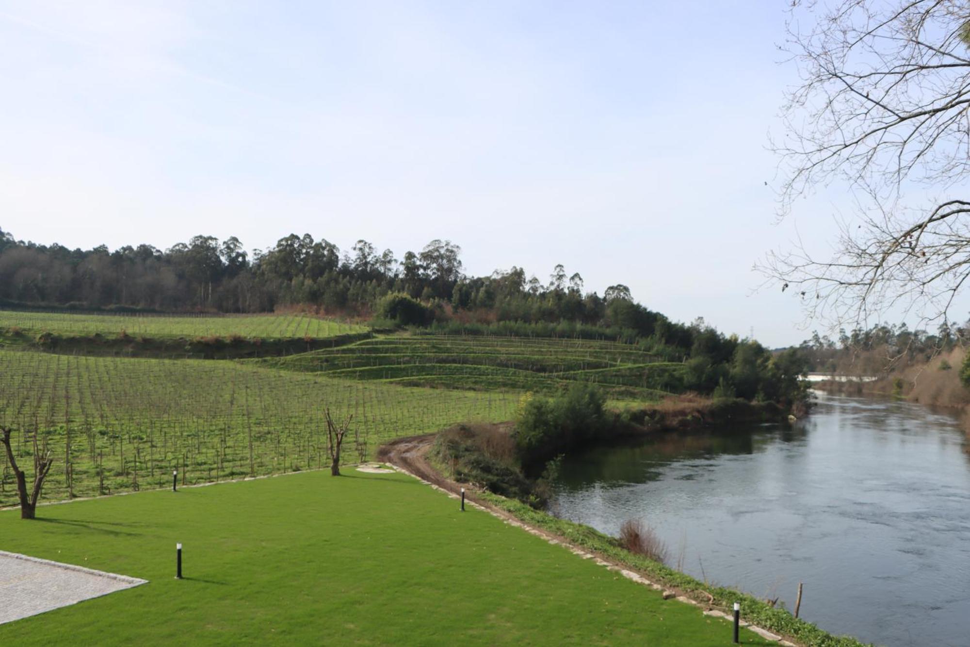 Quinta Das Areias - Solar Da Pena Vila Braga Exterior foto